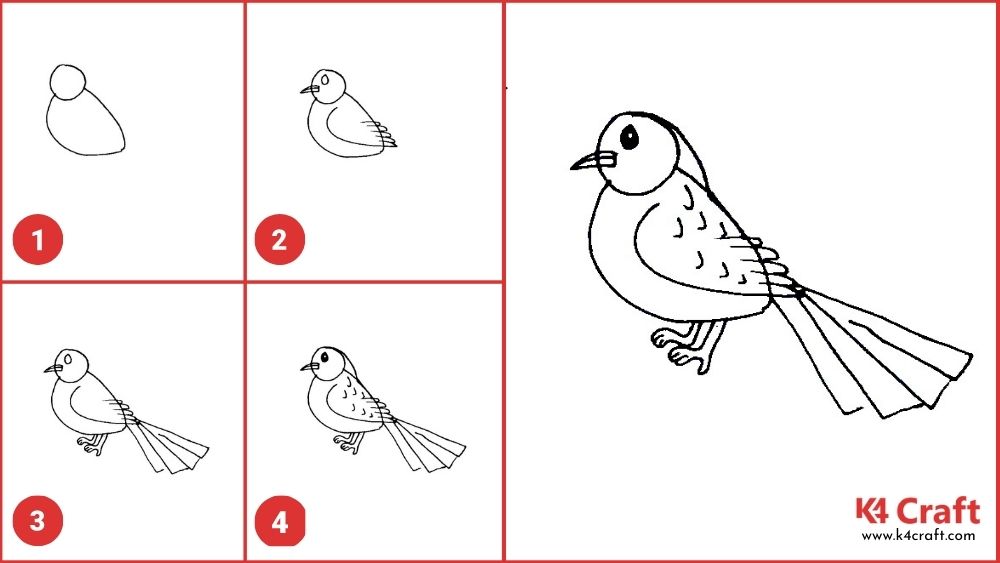 How to Draw a Sparrow for Kids Easy Step by Step Tutorial K4 Craft